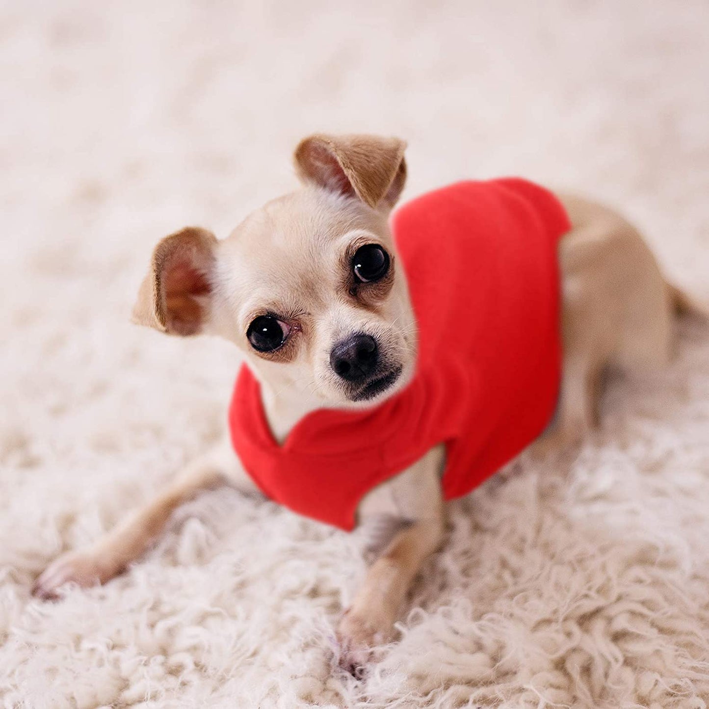 Cute Soft Fleece Dog Clothes